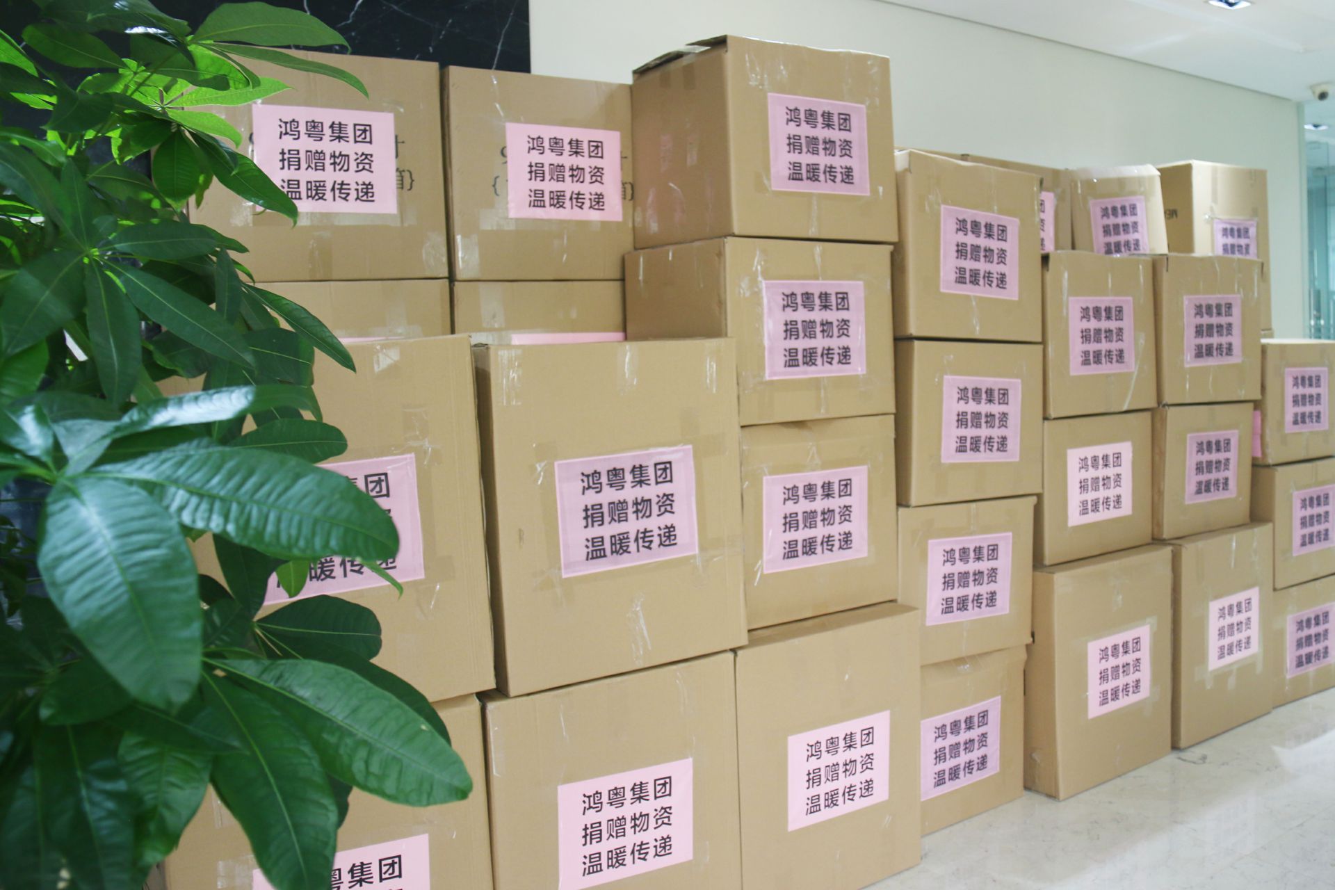 乐鱼网页版·官方站网站-乐鱼online(中国)公益回顾丨家国同欢月同圆 温暖满载甘孜州(图1)